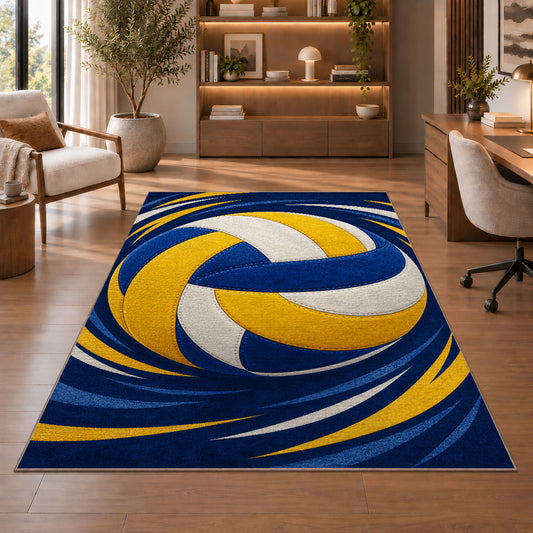 Swirling Volleyball Rug in a home office with wooden shelves