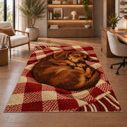 Sleeping Dachshund Blanket Rug in a home office with wooden shelves