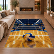 Indoor Volleyball Arena Rug in a living room with a fireplace