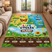 plant and animal life cycle learning rug displayed in a sunlit lounge beside a sofa