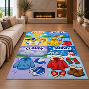 weather clothing match rug displayed in a living room with a fireplace