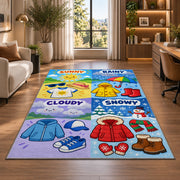 weather clothing match rug displayed in a lounge with wooden shelves