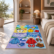 weather clothing match rug displayed in a bedroom in sunlight