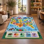 usa state symbols learning map rug displayed in a lounge with wooden shelves
