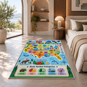 usa state symbols learning map rug displayed in a bedroom in sunlight