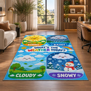 weather today learning panels rug displayed in a lounge with wooden shelves