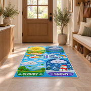 weather today learning panels rug displayed in a entryway beside a wooden door