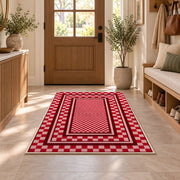 Red and Pink Checkered Border area rug in an entryway