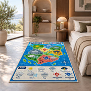 Weather world map rug in a sunny room with an indoor plant and sofa