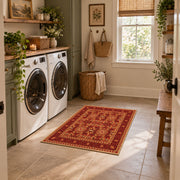 burnt orange traditional ornamental border area rug, ornamental detail view