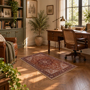 rust brown Persian medallion traditional vintage area rug, complete product view