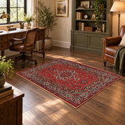 crimson Persian floral traditional vintage area rug, wood floor styling