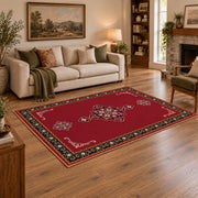 red nomadic medallion minimalist traditional area rug, angled room view